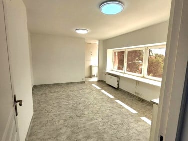 Lokal Szczecin