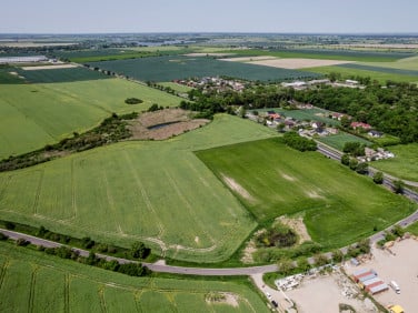 Działka przemysłowa Młodasko