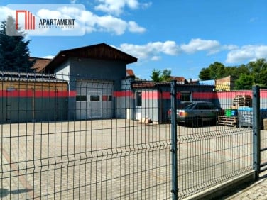 Lokal Brzeg Dolny