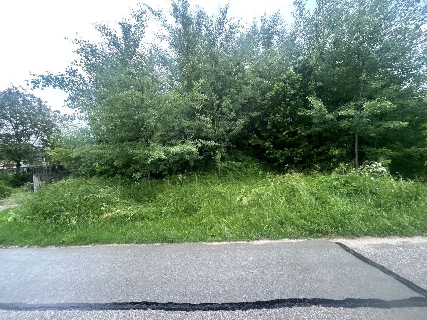 Zdjęcie 2