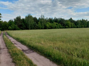 Działka budowlana Sokule