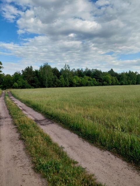 Działka budowlana Sokule