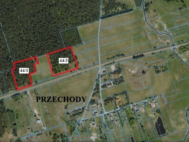 Działka leśna Przechody