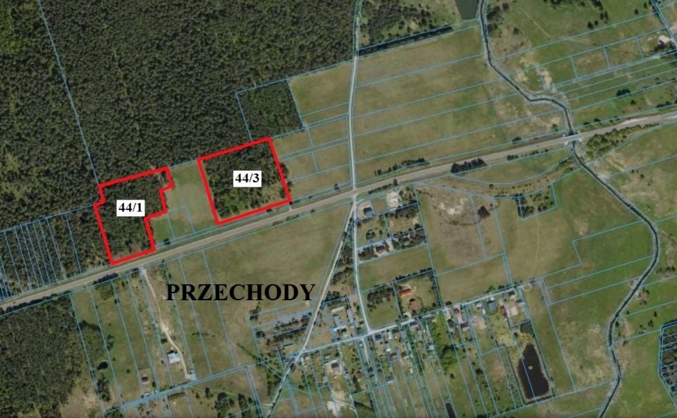 Działka leśna Przechody