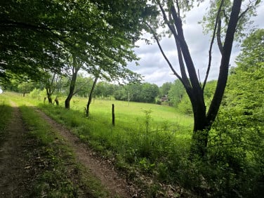 Działka inna Laskówka