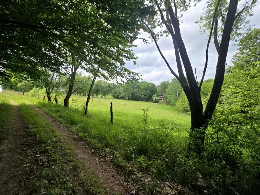 Działka inna Laskówka