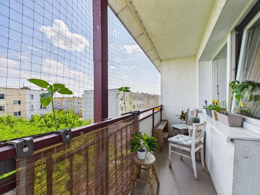 Apartment in Toruń, Kozackie Góry, Koniuchy