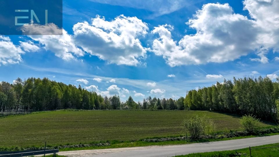 Zdjęcie 3