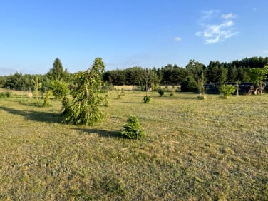 Ogrodzona działka sprzedam