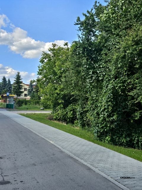 Działka Dąbrowa