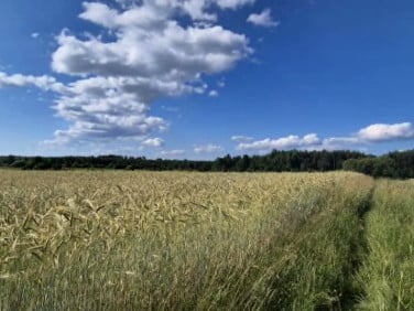 Działka rolna Żółtki sprzedam