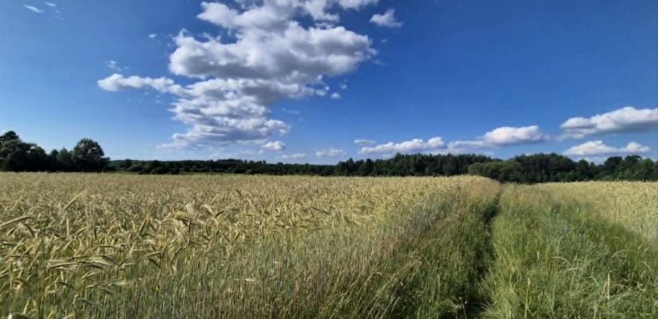 Działka rolna Żółtki sprzedam