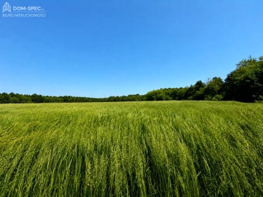 Działka budowlana Nędza