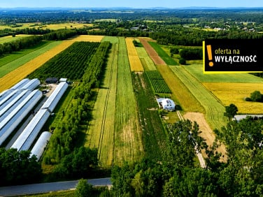Działka budowlana Niemścice