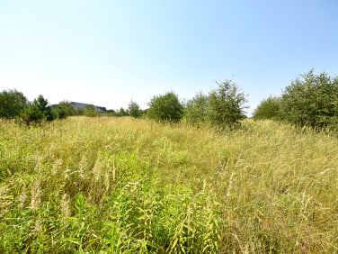 Działka Kotórz Mały