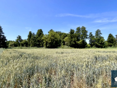 Działka budowlana sprzedam