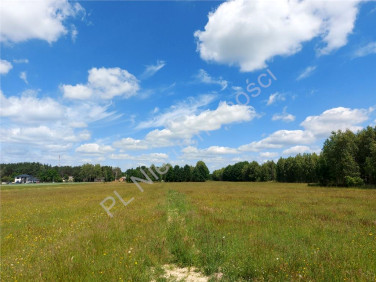 Działka Goździówka