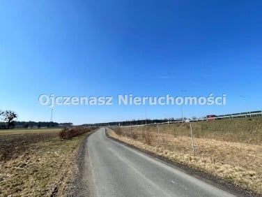 Działka inwestycyjna Borówno