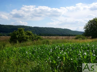 Działka inna Więckowice