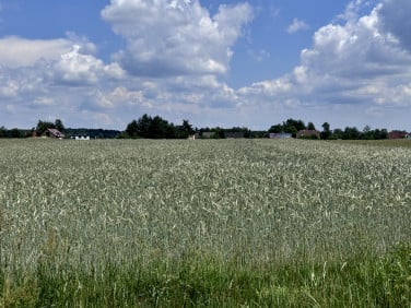 Działka przy lesie