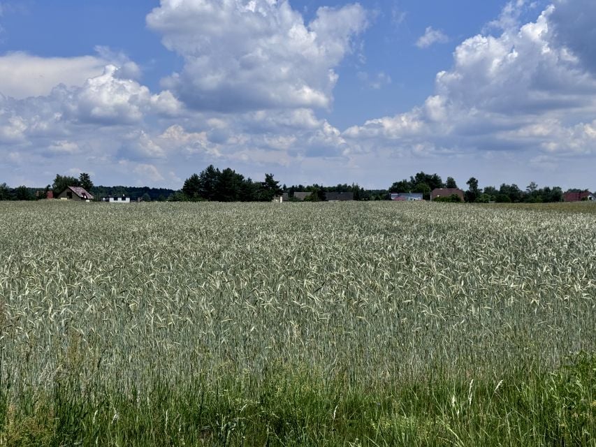 Działka przy lesie
