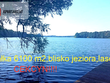 Działka budowlana Cekcyn
