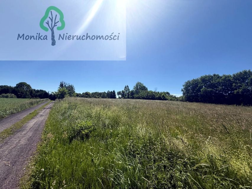 Działka rolna sprzedam