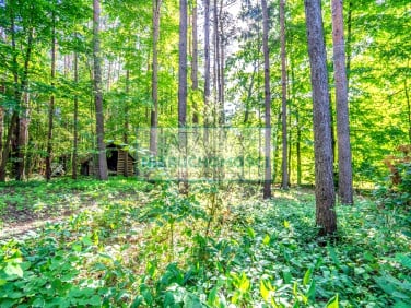 Działka budowlana Adamów-Wieś