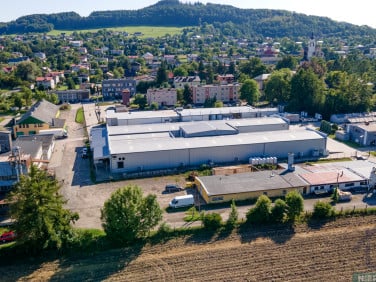 Budynek użytkowy Goleszów sprzedaż