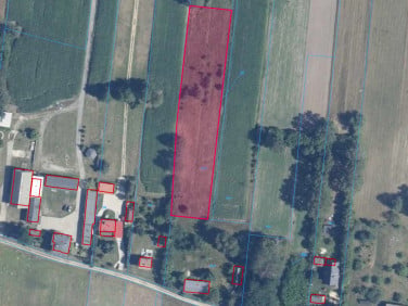 Działka rolna Złotniki