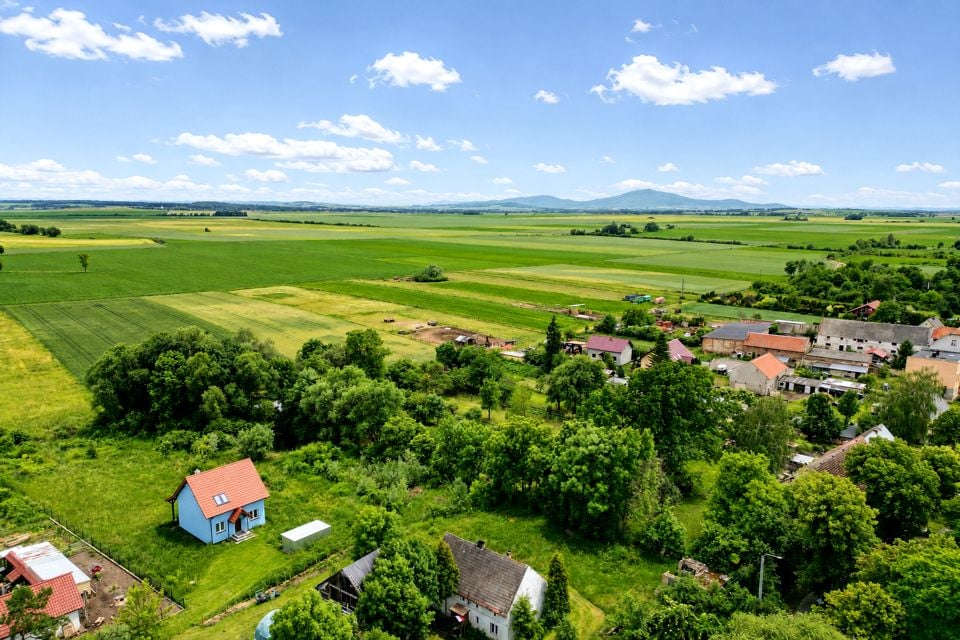 Zdjęcie 3
