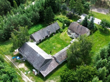 Dom Gołąbki