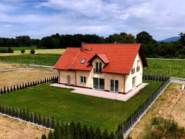 Dom Pieszyce