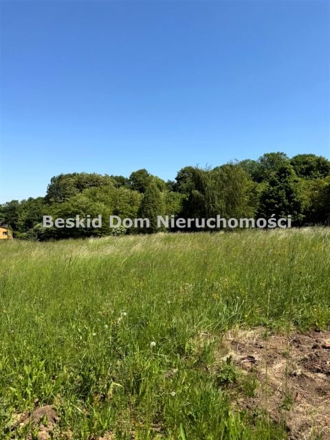 Zdjęcie 3