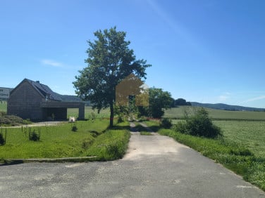 Działka leśna Bojanice sprzedam