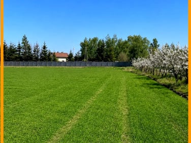 Działka Drużyny