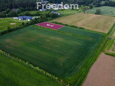 Działka przy lesie