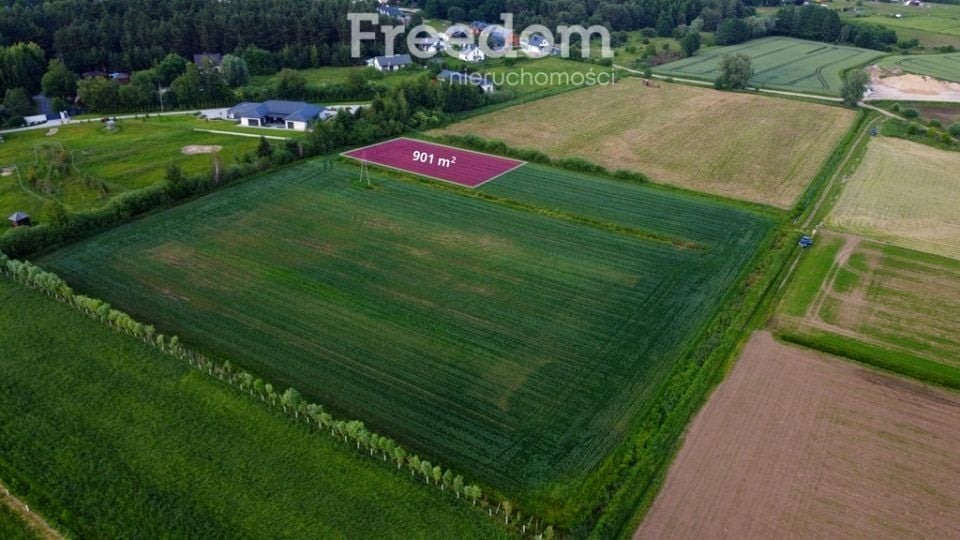 Działka przy lesie