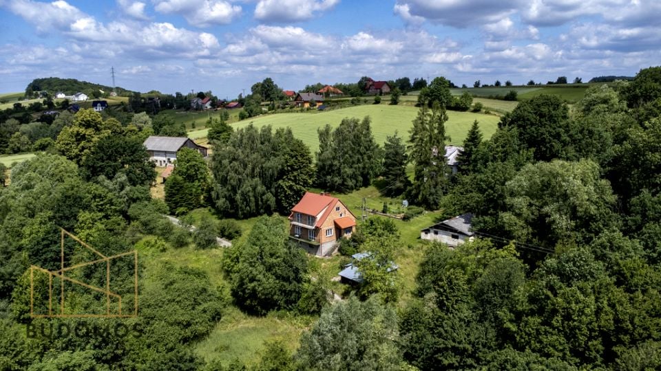 Zdjęcie 2