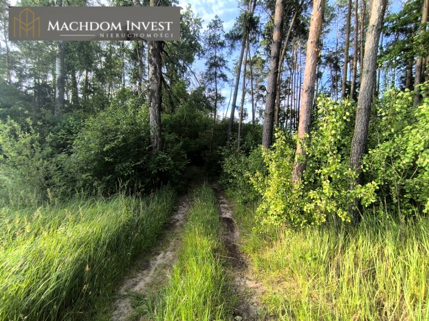 Zdjęcie 3