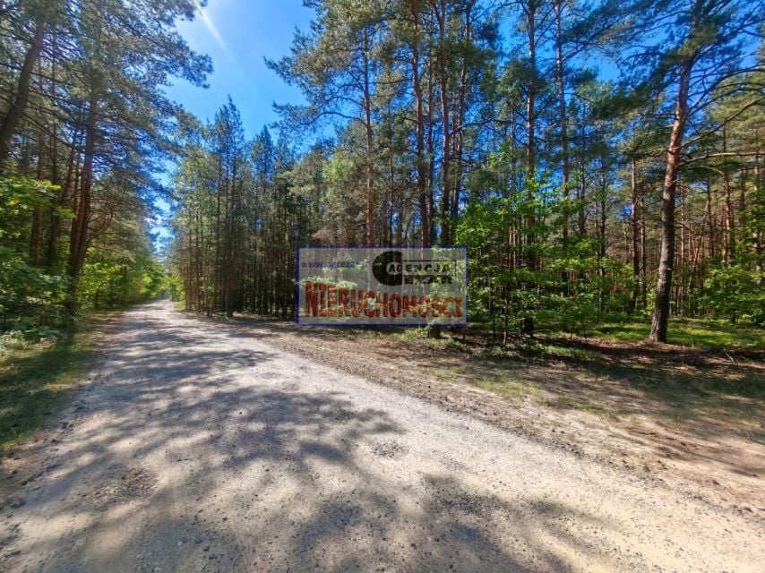 Zdjęcie 3