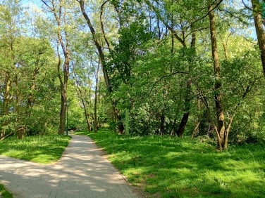 Mieszkanie Kraków