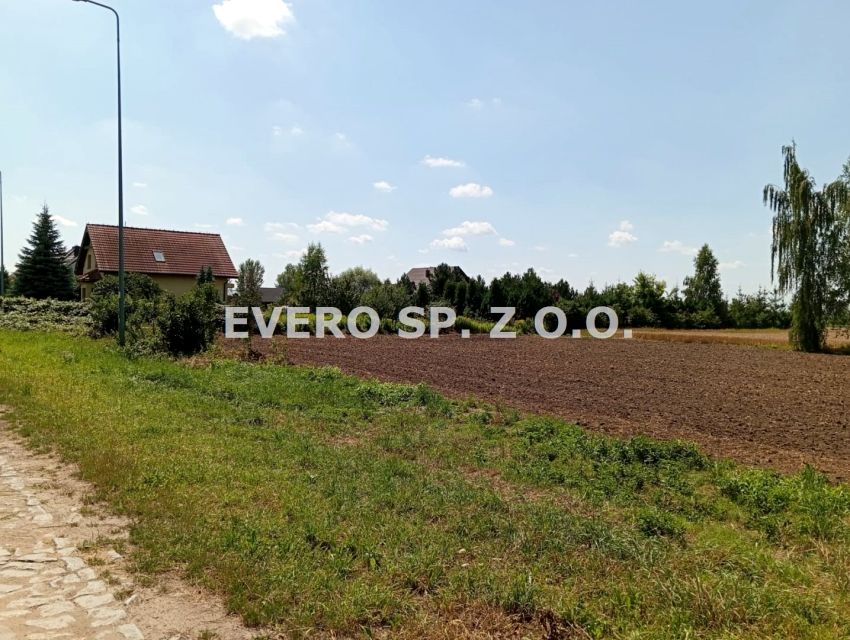 Zdjęcie 3