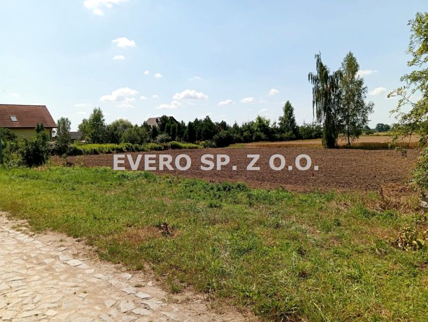 Zdjęcie 2