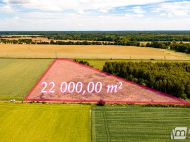Działka Dzisna