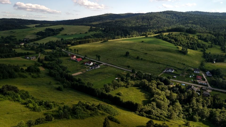 Zdjęcie 2