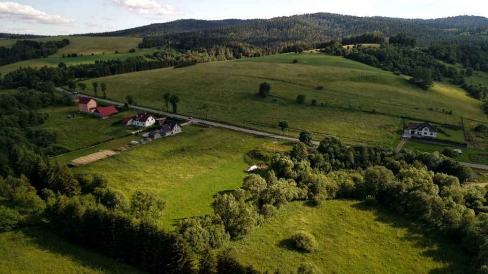 Zdjęcie 3