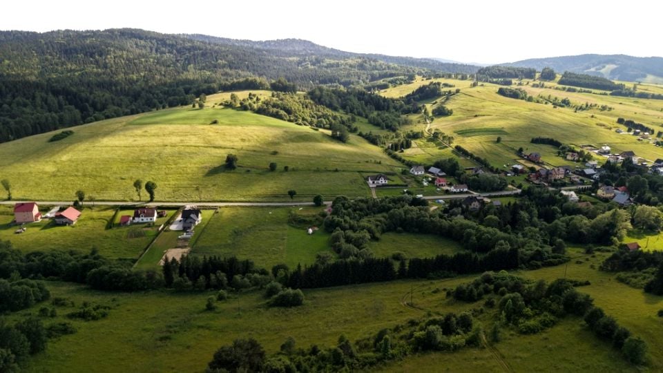 Działka przy lesie