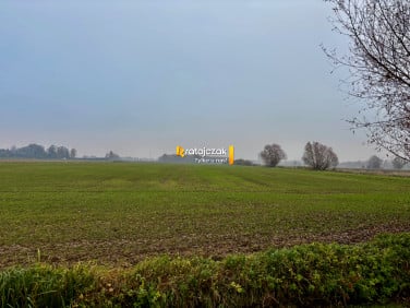 Działka Drewnica
