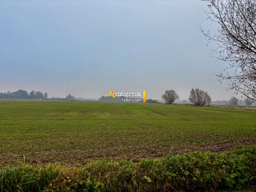 Działka Drewnica